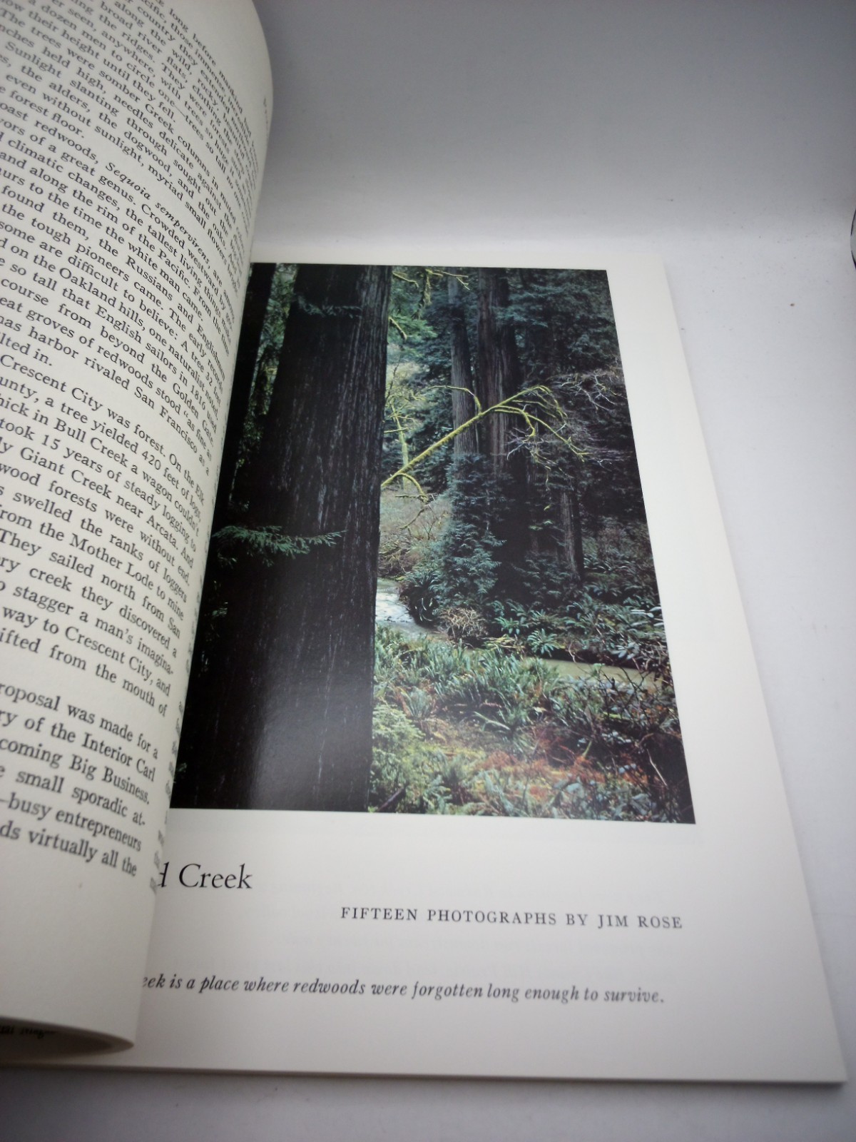 Lot Of Seven (7) Vintage 1960s Sierra Club Pamphlets Bulletins