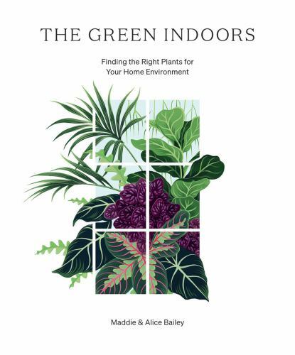 The Green Indoors: Finding the Right Plants for Your Home Environment by