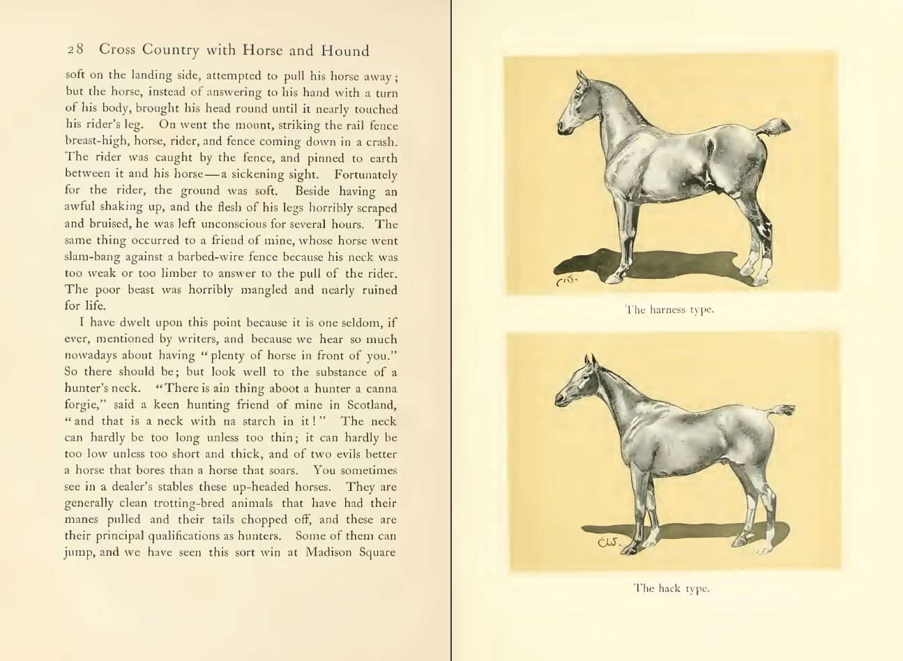 329 BOOKS – Horses – Equestrian Stallion Mare Gallop Bridle Hoof Jockey – CD/DVD