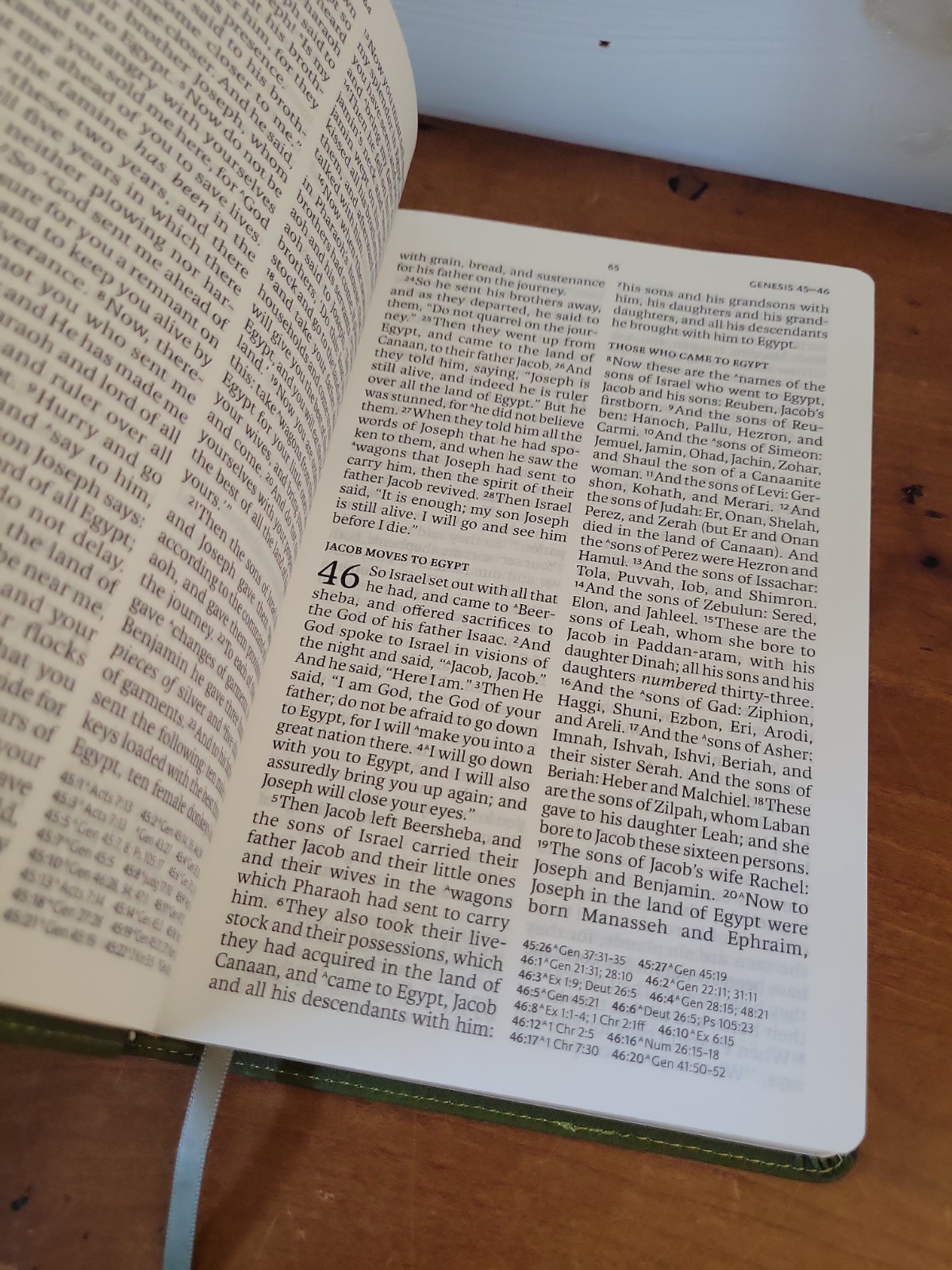 The Holy Bible New American Standard NASB Holman Olive Green Leather Touch 8.5″