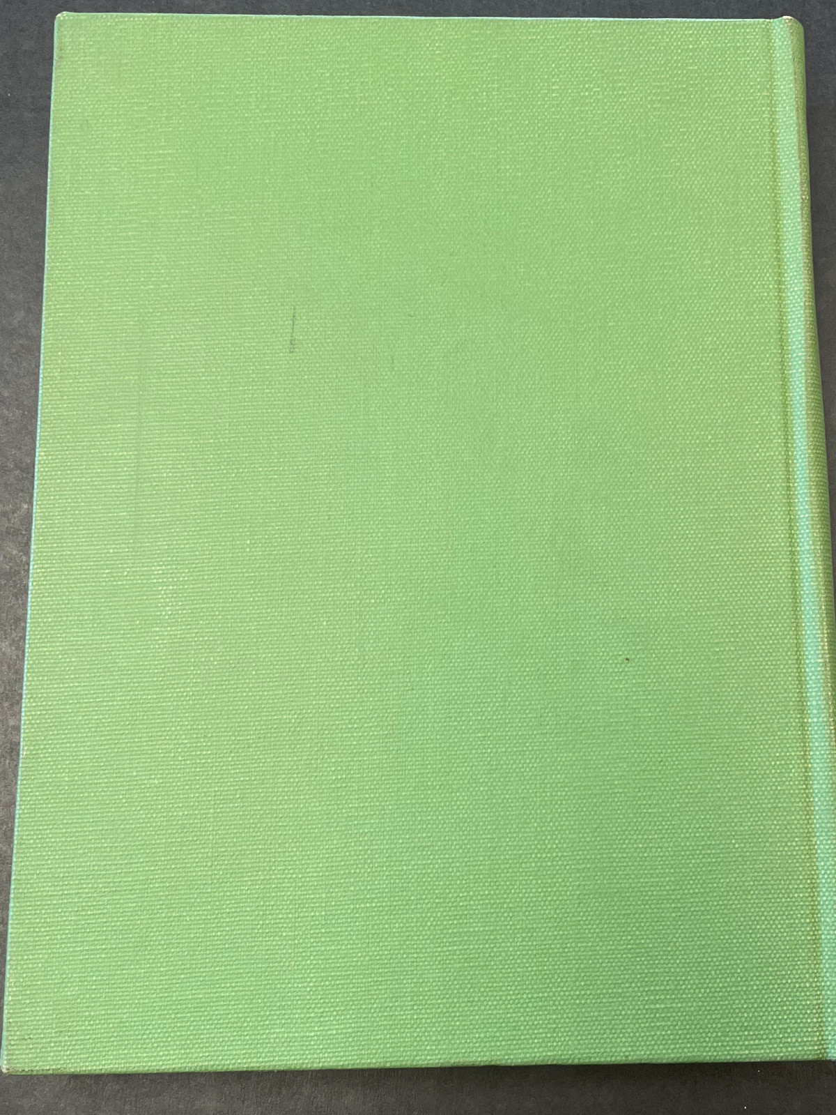 Sheldon Cheney 1930 THE NEW WORLD ARCHITECTURE Ex-Library Rebind HC
