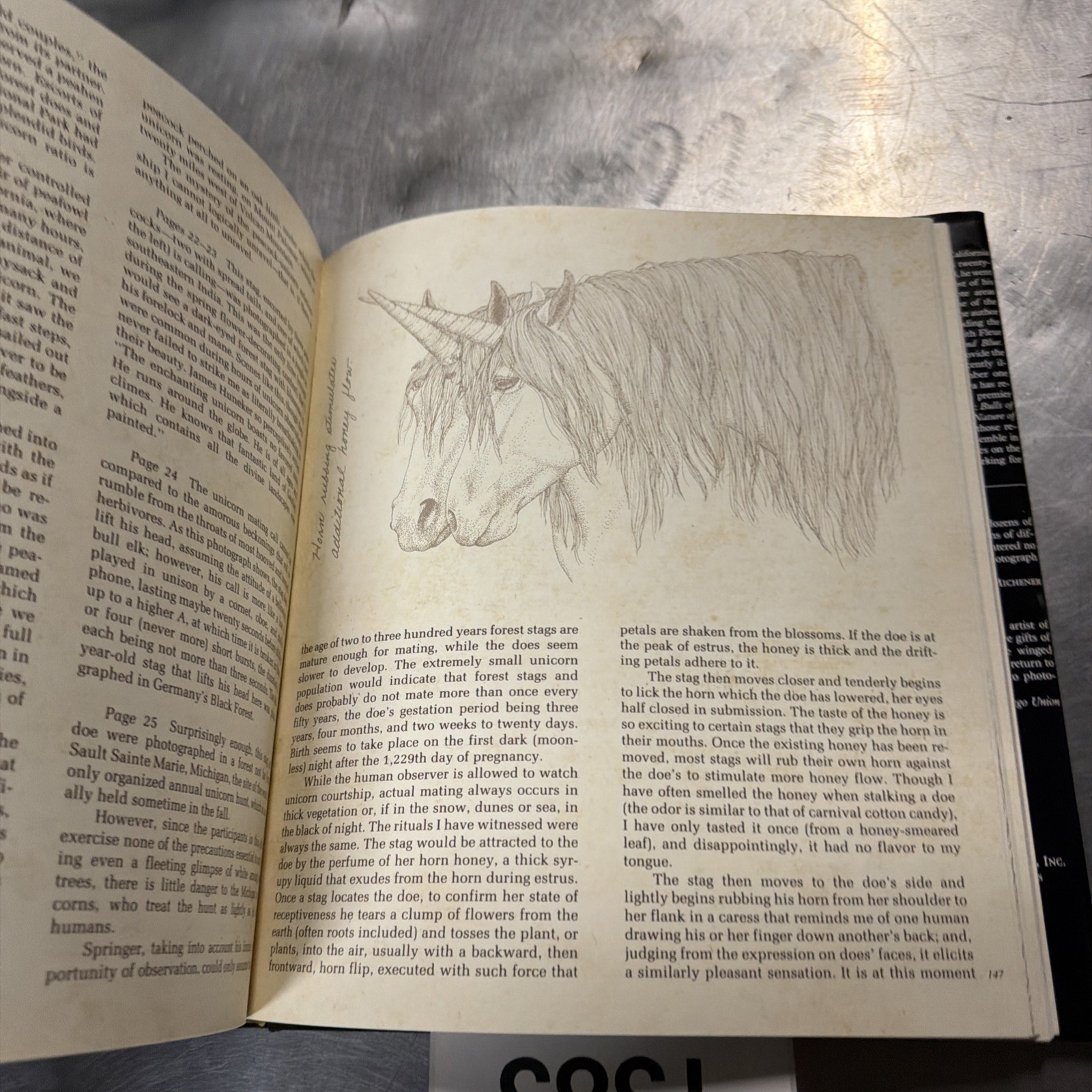Unicorns I Have Known by Robert Vavra Hardcover