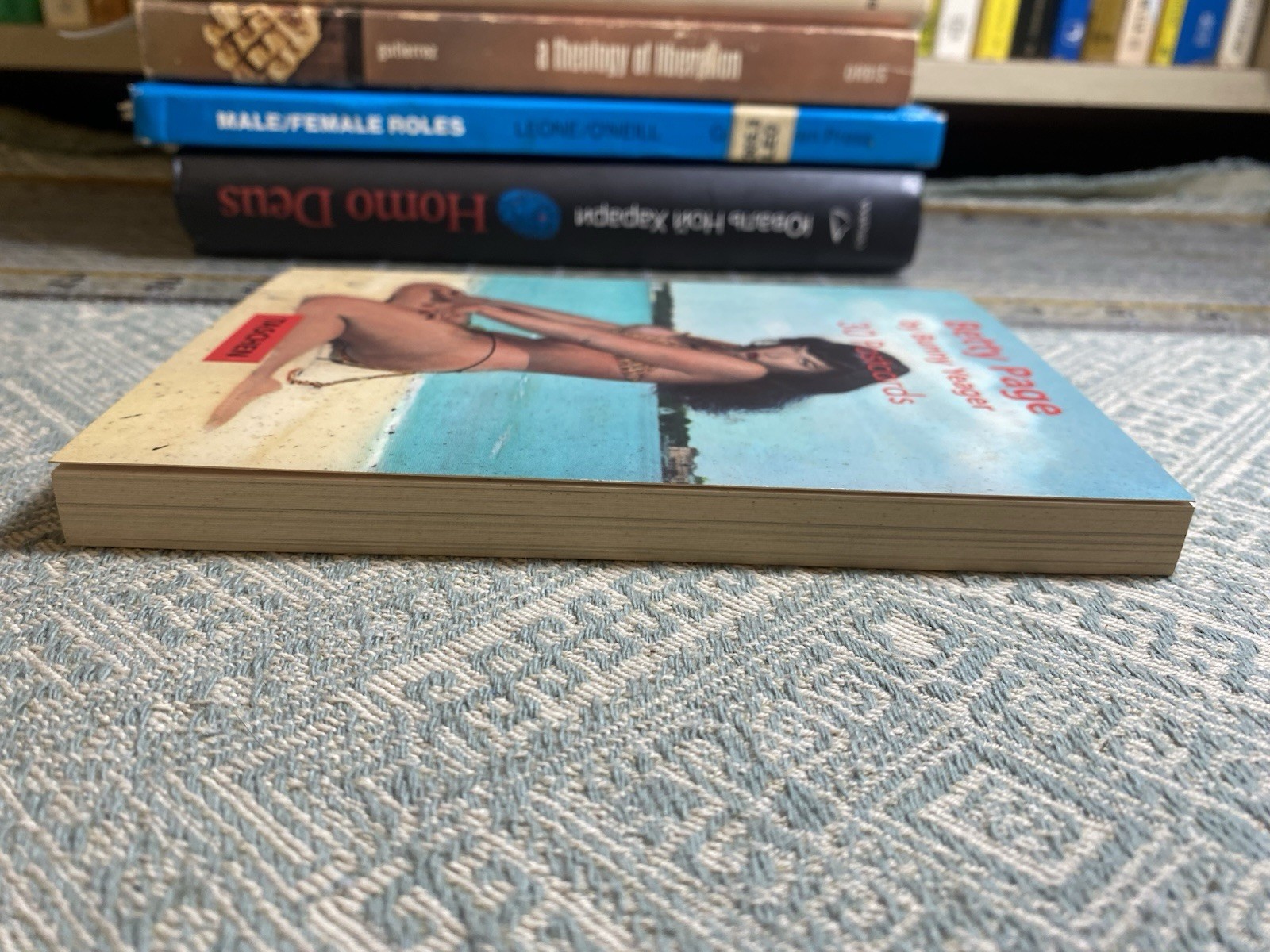 VGC Taschen Betty Page by Bunny Yeager 30 Postcards Book – Complete 4.5” x 6.5”