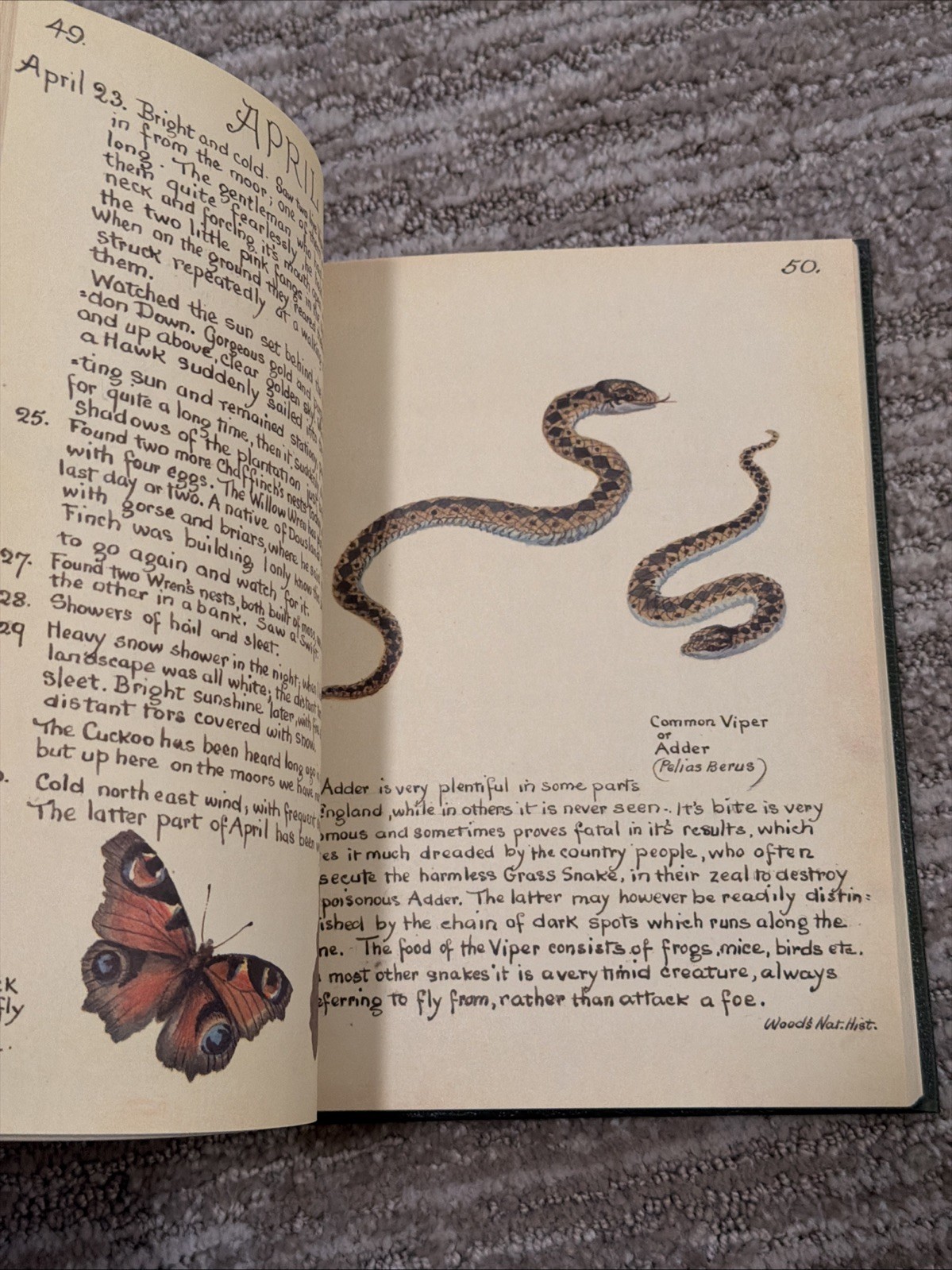The Country Diary of an Edwardian Lady by Edith Holden – Hardcover Book 1977