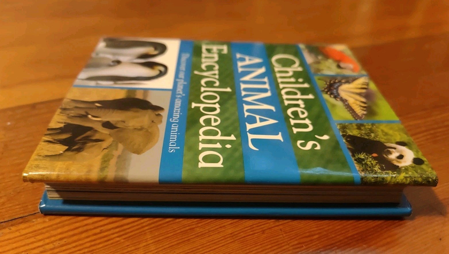 Mini Children’s Reference Ser.: My First Animal Encyclopedia (2008, Hardcover)