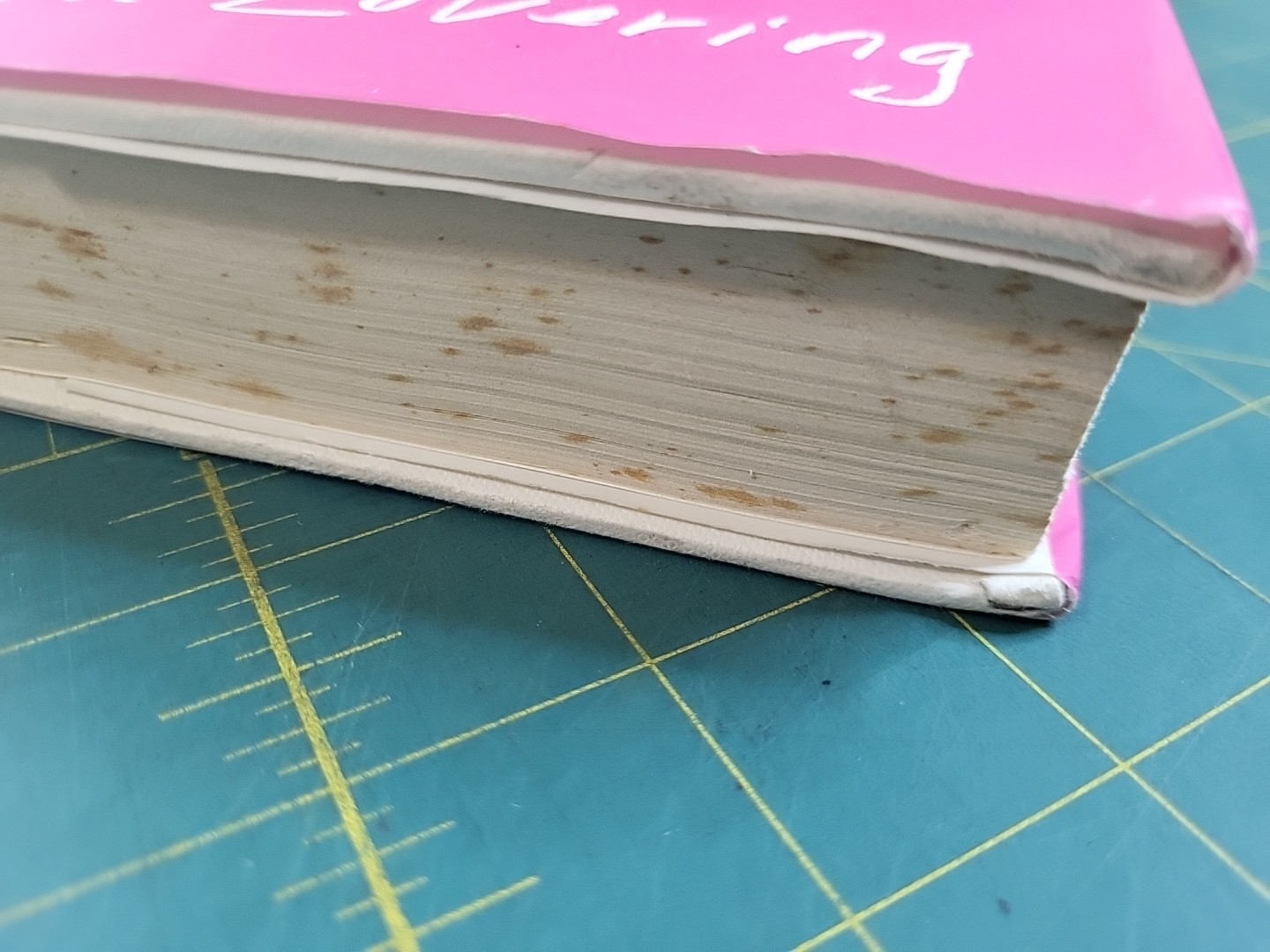 Tell Me Lies: A Novel by Carola Lovering 2018 Hardcover First Atria Edition DJ