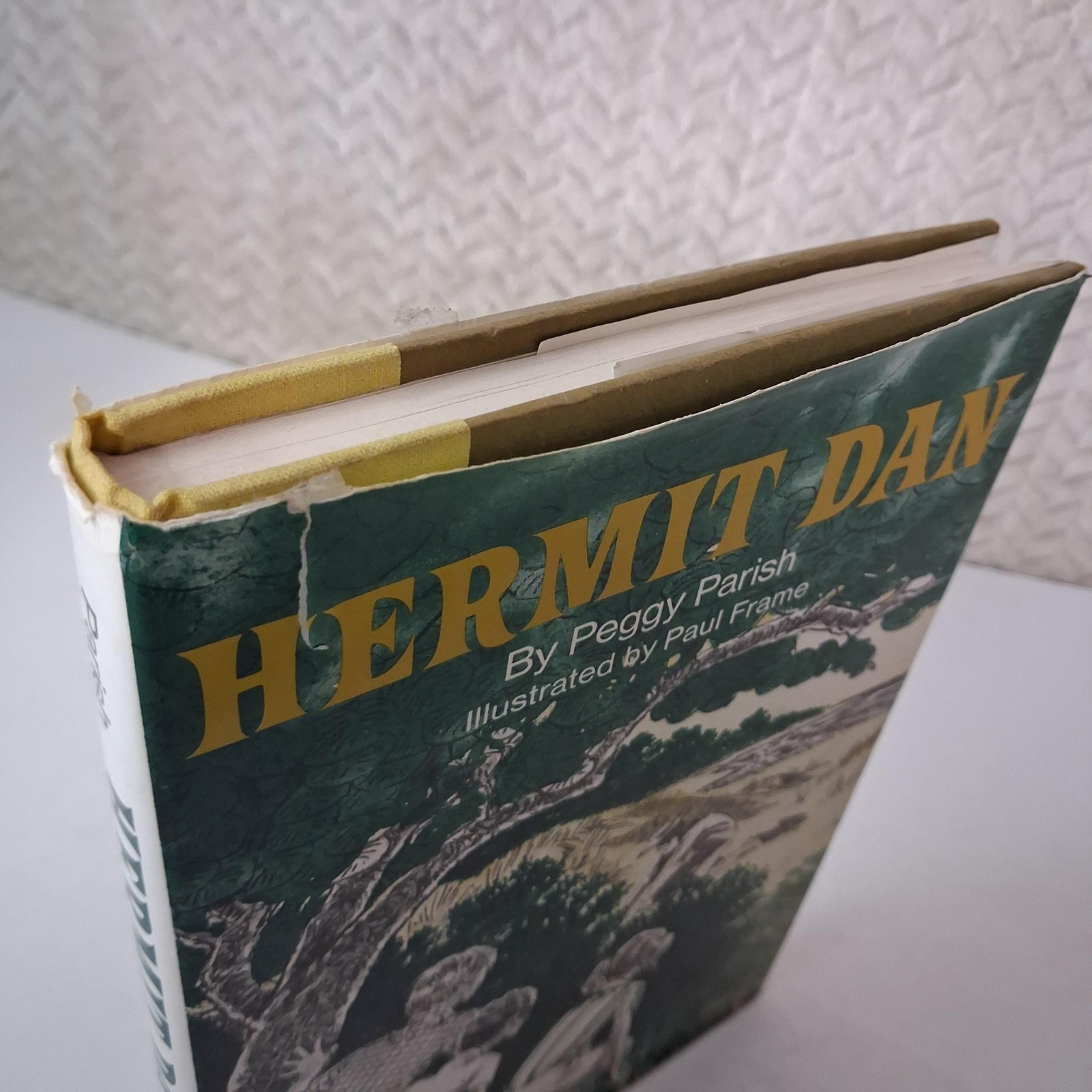 Vintage Hermit Dan Peggy Parish Childrens Mystery Green HC DJ 1977 USA Macmillan