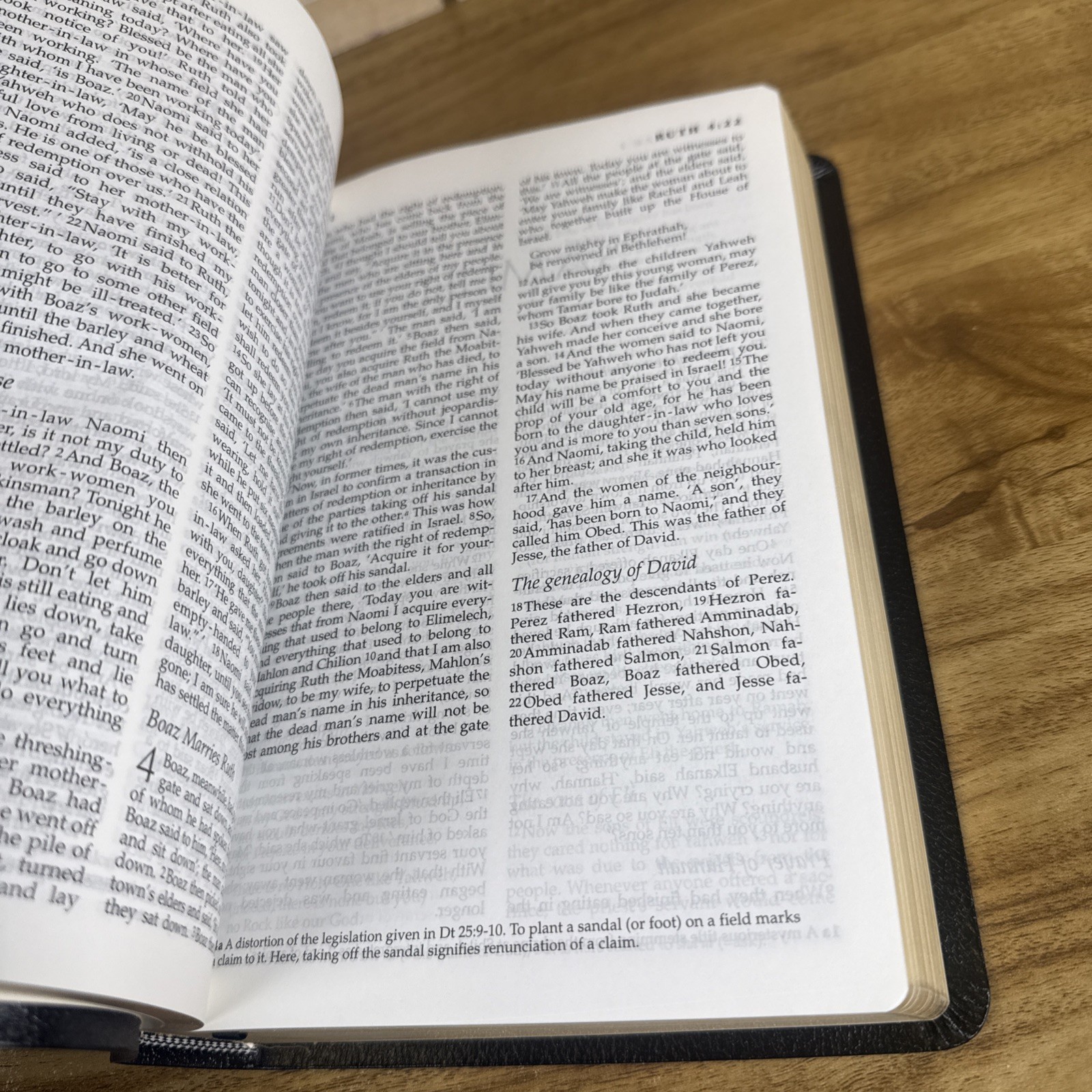 New Jerusalem Bible: Leather Edition Slipcase – Henry Wansbrough Catholic 1999