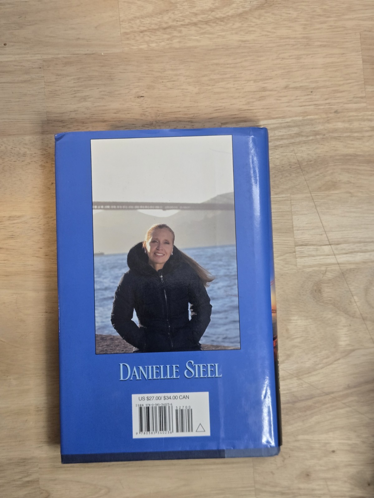 Danielle Steel Hardcover Book Lot (10) Romance History Drama Nice Clean Mix