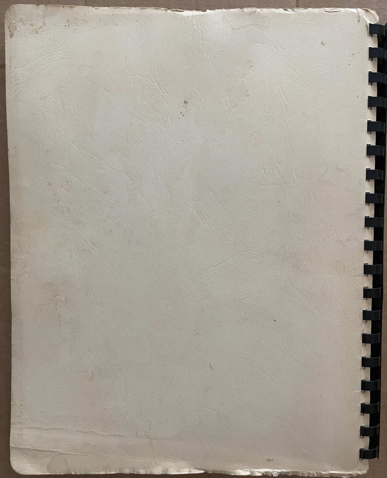 1987 BIG ISLAND, VA, BIG ISLAND LIBRARY FRIENDS COOKBOOK, 125 PAGES, VINTAGE
