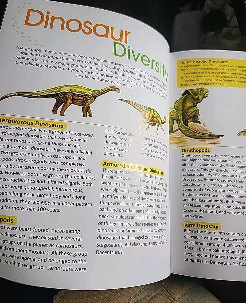 Childrens Encyclopedia of Dinosaurs Hard Cover Vision St Publishing Educational
