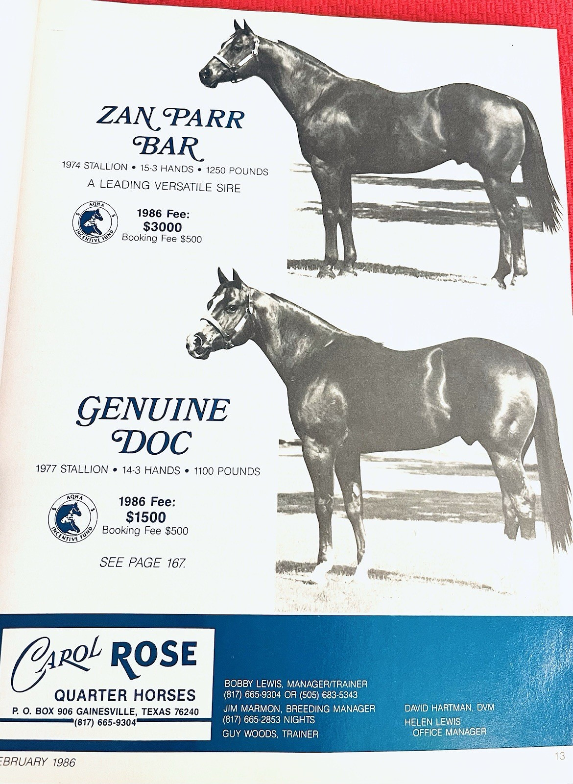 SALE ENDS 6/15! 1986 QUARTER HORSE JOURNAL Book – DYNAMIC DELUXE, ZAN PARR BAR