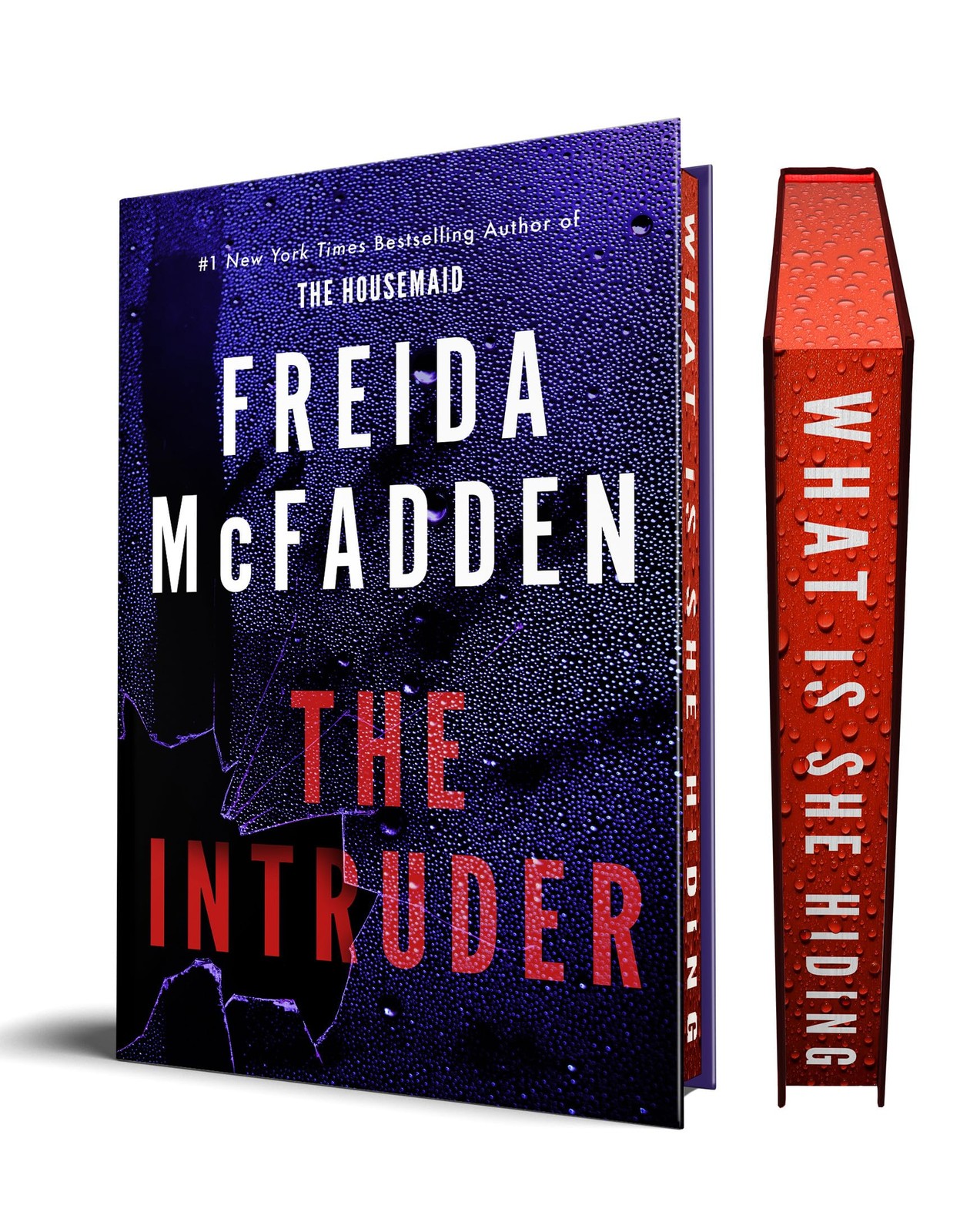 The Cabin’s Secret A Thrilling Novel by Freida McFadden Hardcover Edition