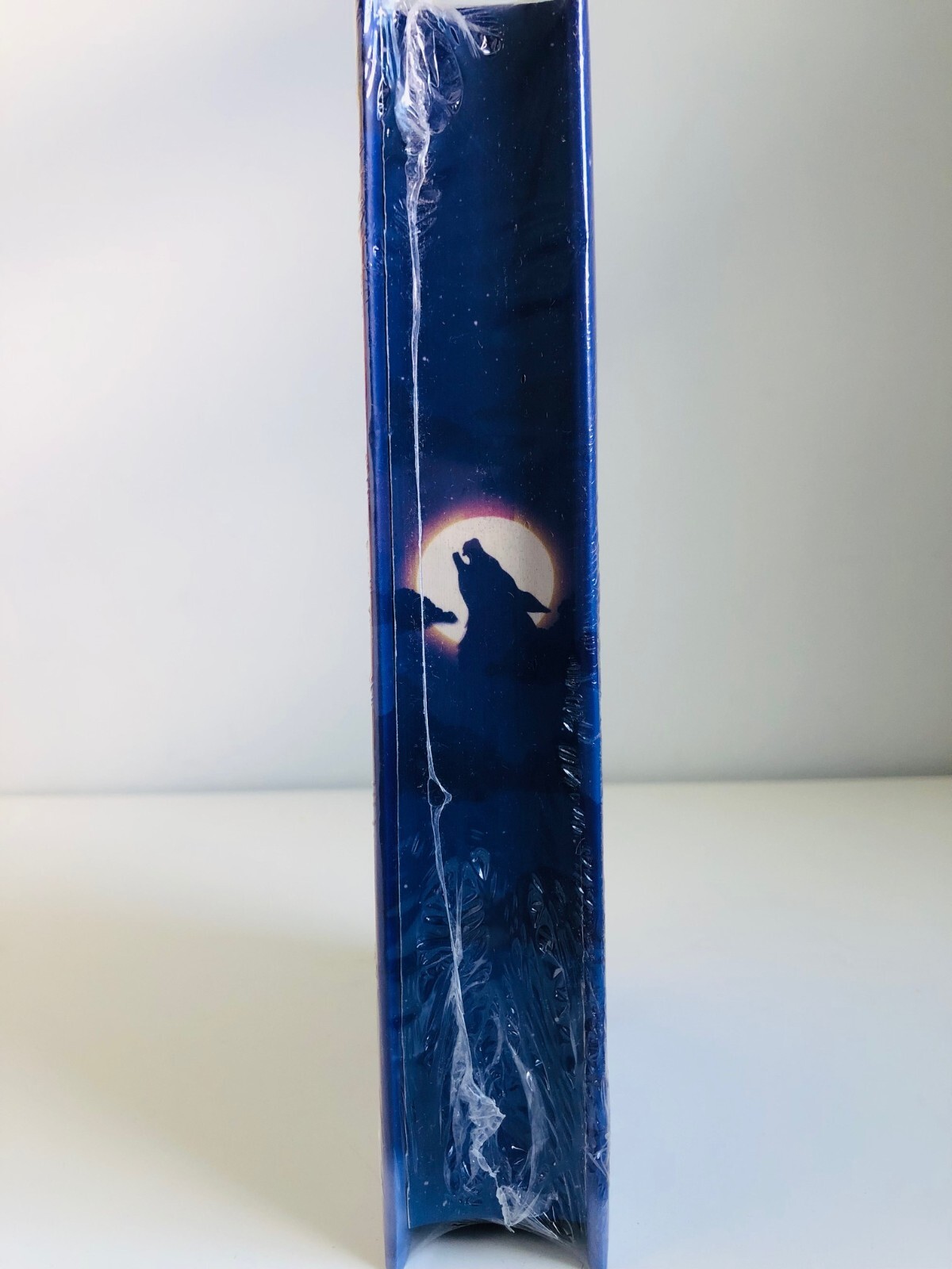 SIGNED Fan Service by Rosie Danan ILLUMICRATE AFTERLIGHT EXCLUSIVE HC Stenciled