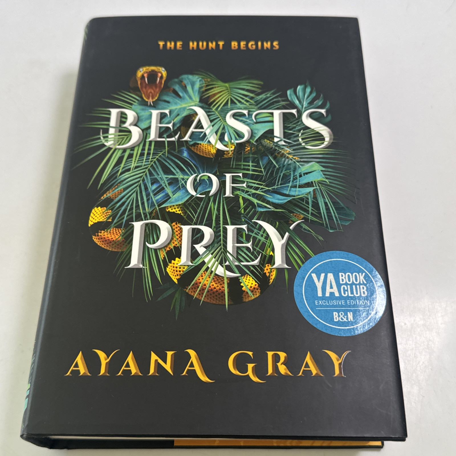 The Hunt Begins Beasts of Prey Ayana Gray Hardcover Book Excellent Clean