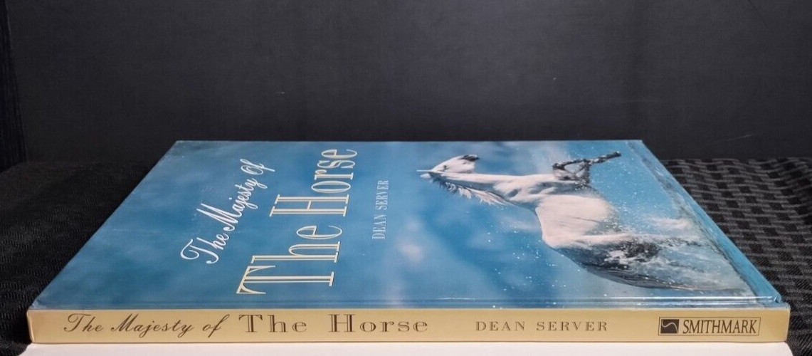 The Majesty of the Horse Dean Server HB DJ Equestrian Photography Horses
