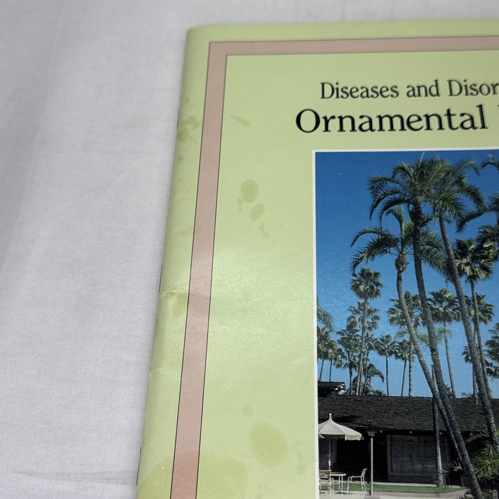 Diseases and Disorders of Ornamental Palms by A.R. Chase and T.K. Borscht