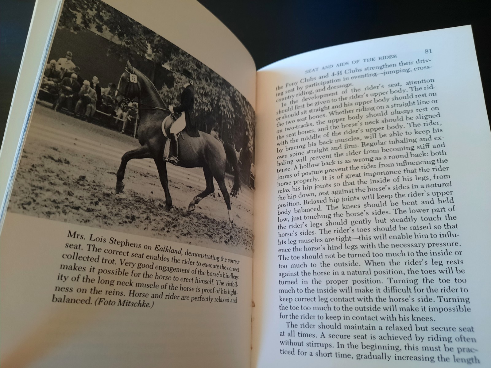 LOT of 3 Vintage Equestrian Hardcover Books Art Dressage Horse Rider Equitation