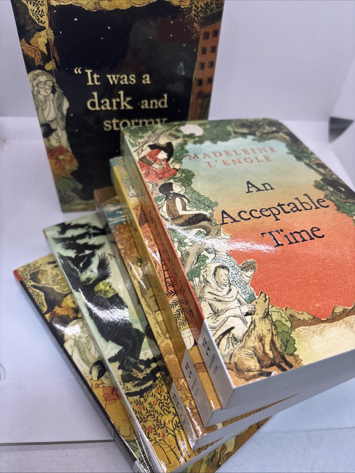 Madeleine L’Engle A Wrinkle In Time Quintet 5 Book Box Set Academia Whimsigoth