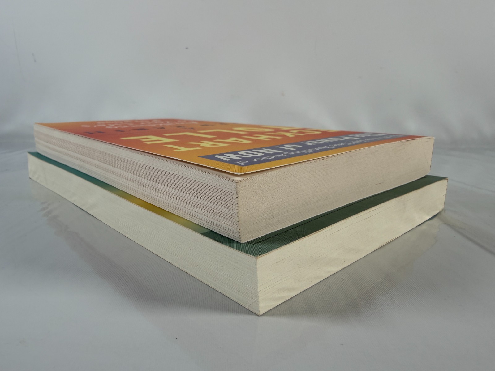 New Earth and The Power of Now by Eckhart Tolle – Lot of 2 Trade Paperbacks