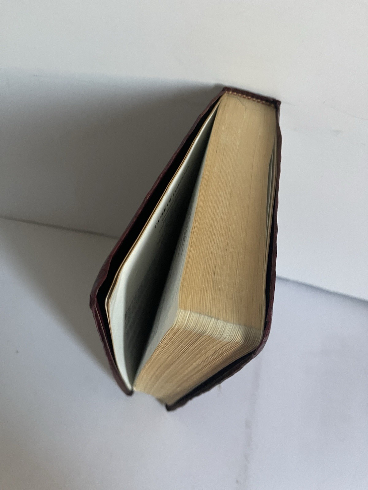 Bible NAB by Fireside Catholic Publishing 1994-1995 Edition Leather Bound