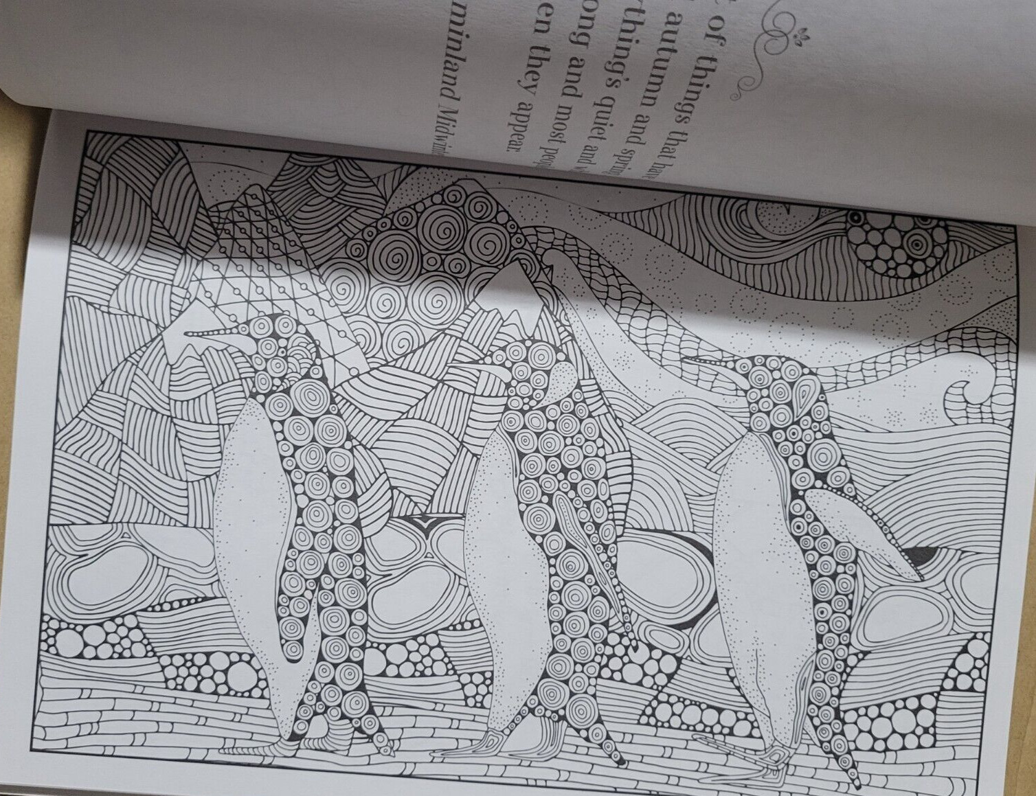 COLORFUL ESCAPES -A Wonderland of Color! Vol. 23 – Adult Coloring Book- 47 Pages