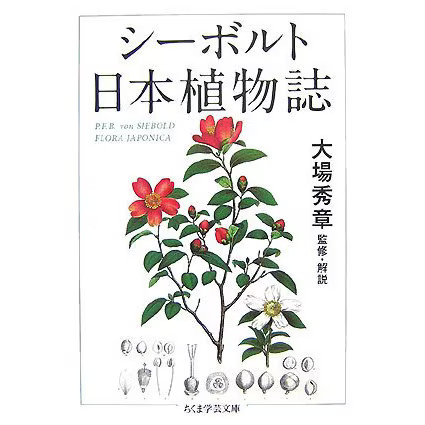 Siebold Japanese Flora Paperback Botany Culture History Excellent For Ages 14+