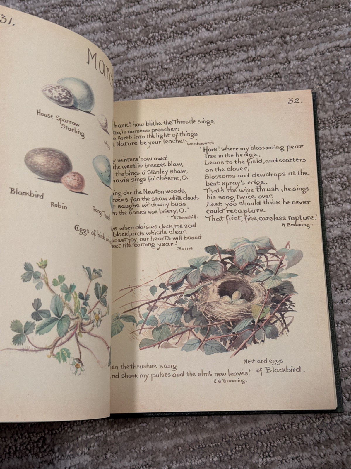 The Country Diary of an Edwardian Lady by Edith Holden – Hardcover Book 1977