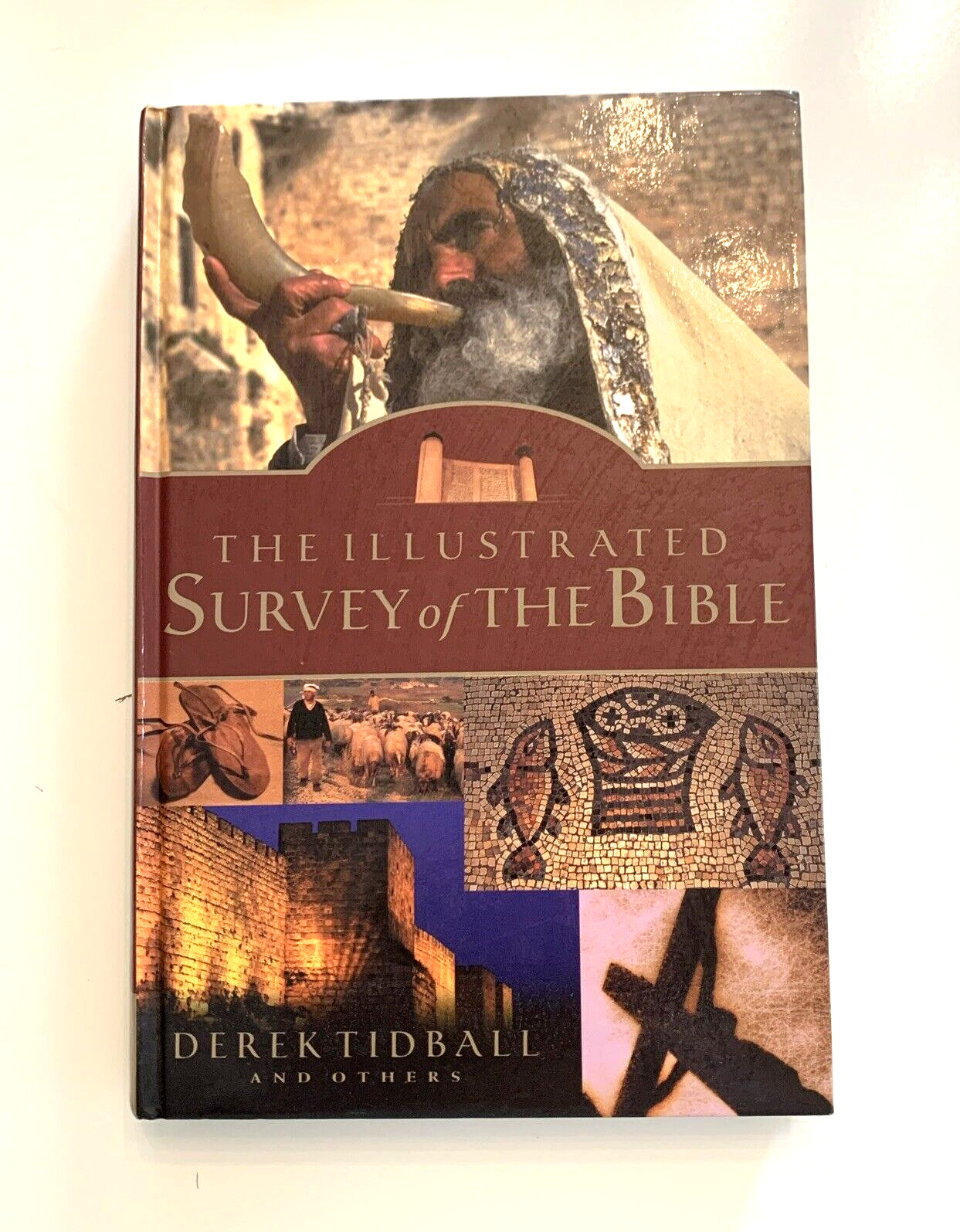 The Illustrated Survey of the Bible Book 2001 Derek Tidball Bethany House Pub