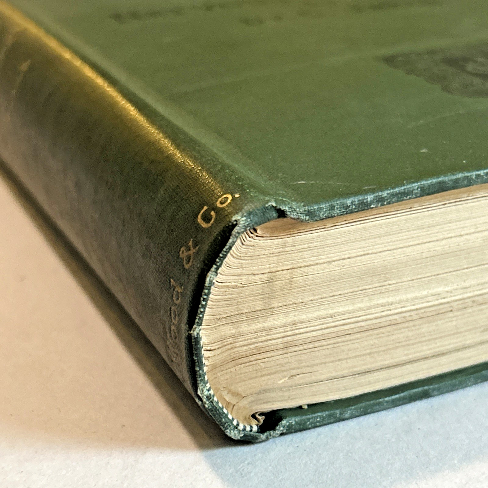 Atlas of Normal and Pathological Nervous Systems ~ 1896 ~ C. Jakob ~ Color Illus