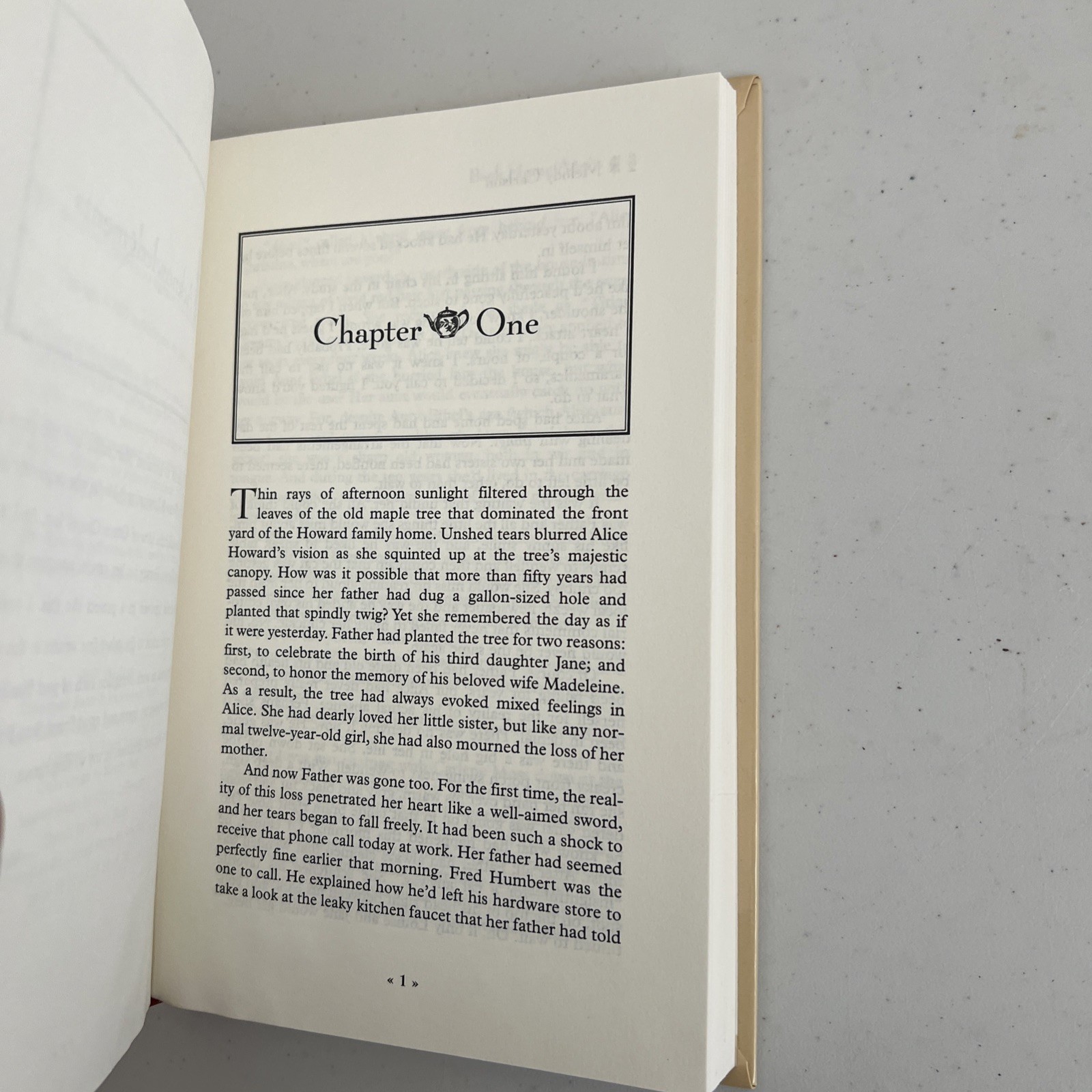 5 Books : Tales from Grace Chapel Inn Ser Hidden History, Back Home by M Carlson