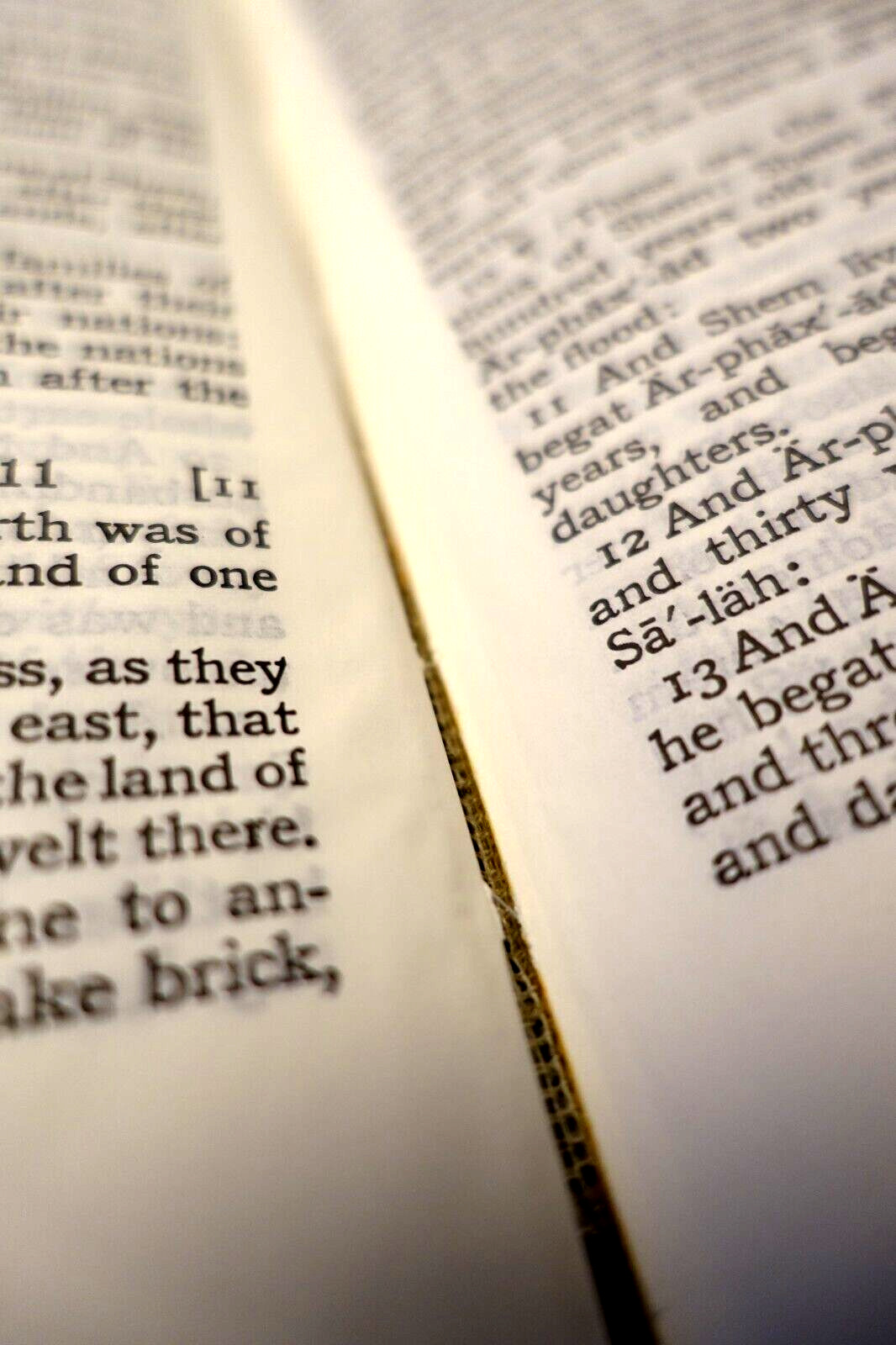 RARE The Cambridge Family Bible Hardcover w/ Box *HAS FLAWS READ DESCRIPTION*