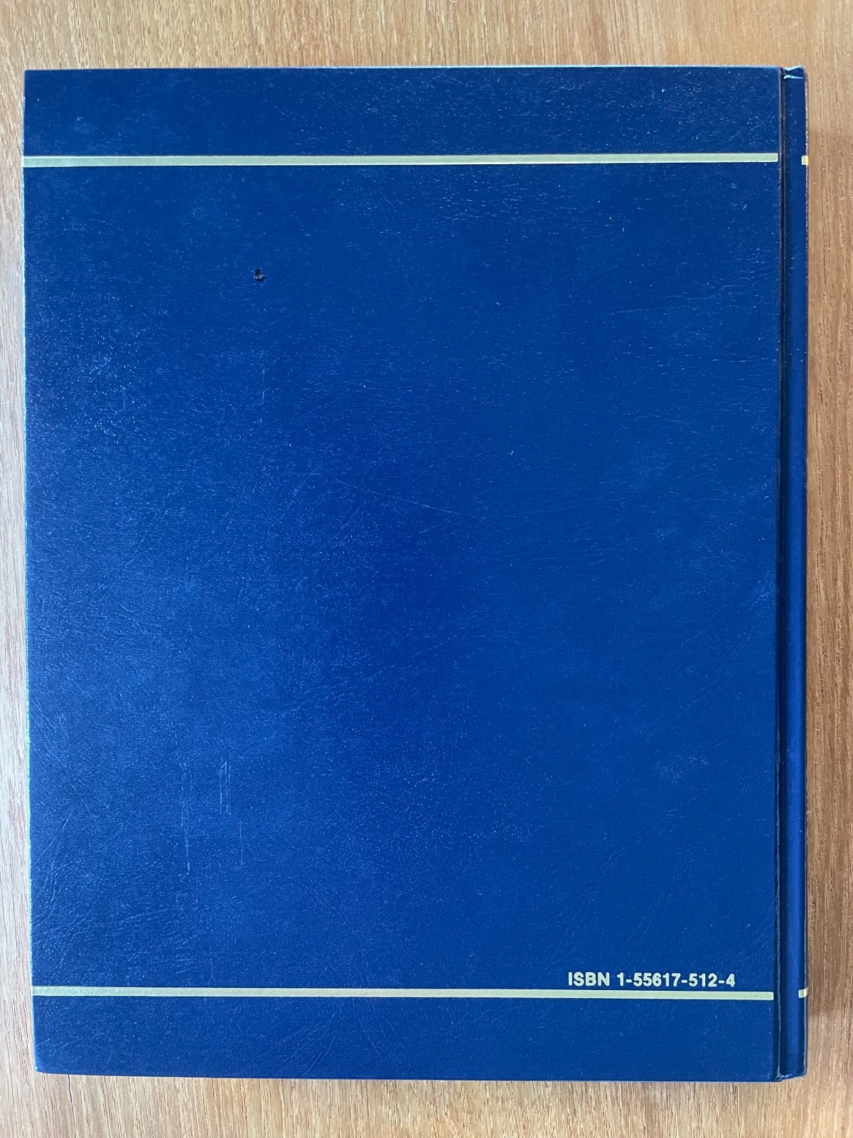 Maintenance of Instruments and Systems – Goettsche – ISA Practical Guide Book