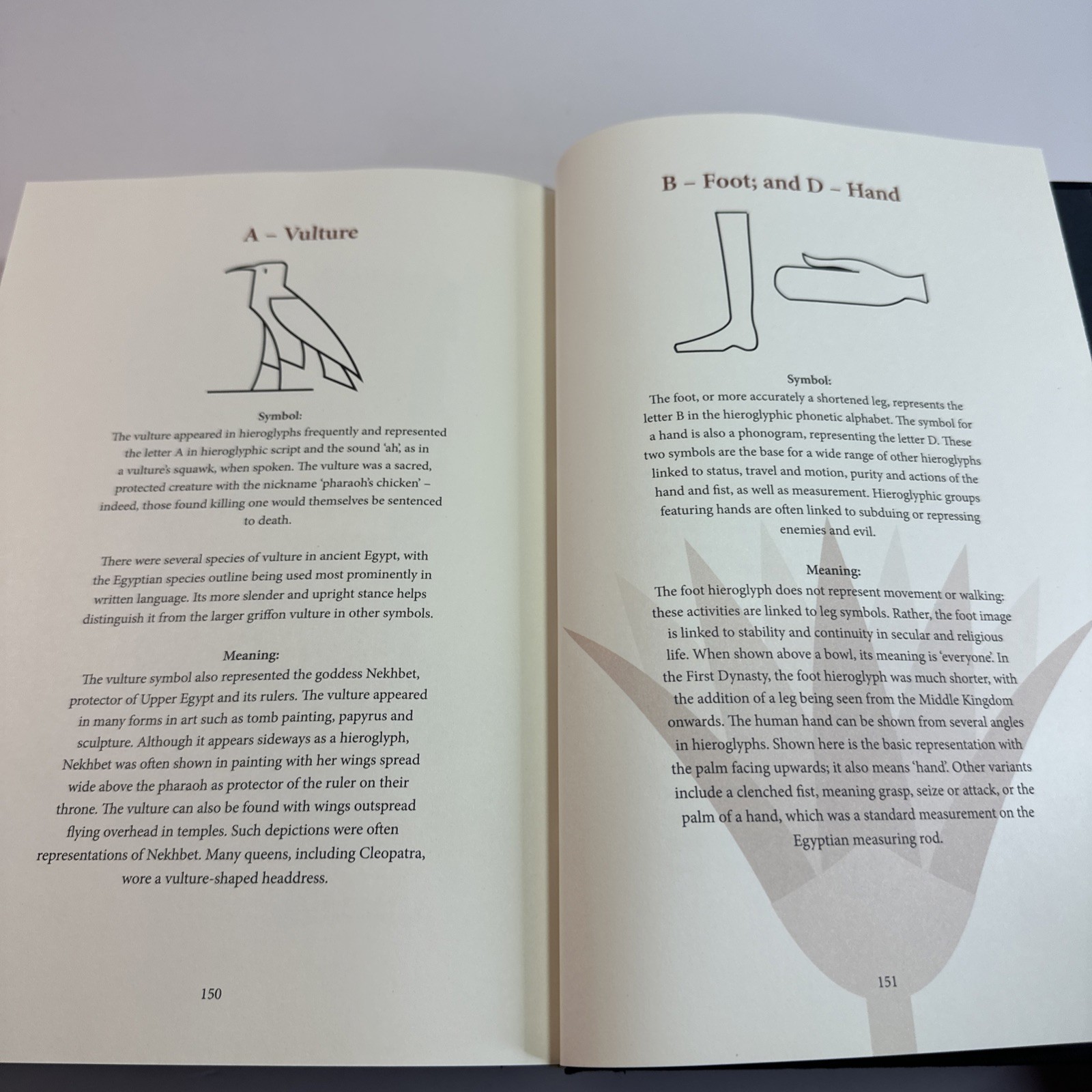 Ancient Egyptian Hieroglyphs Illustrated by Trevor Naylor 2025 Pr. Amber