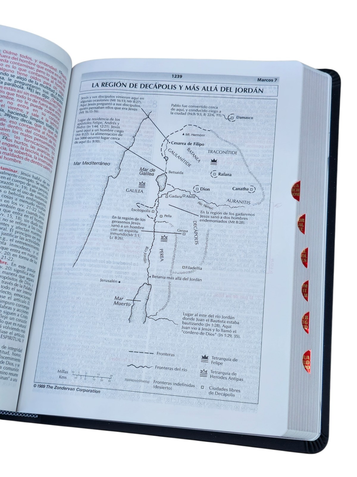Biblia de Estudio de la Vida Plena Actualizada RV1960, piel negro Con Índice