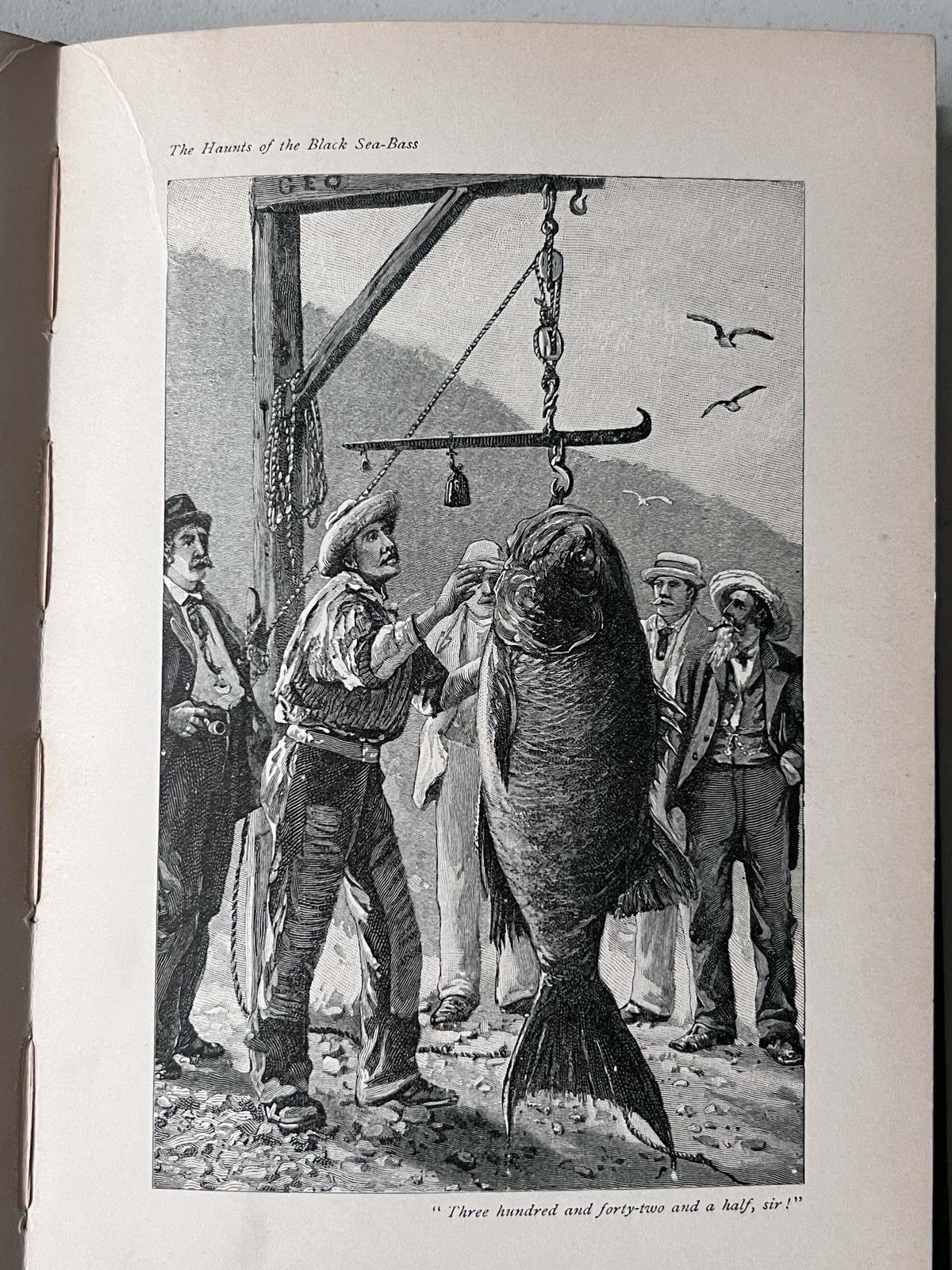 ANGLING 1897 Scribner’s – Fishing Book – 60+ Great Illustrations – 2nd Printing
