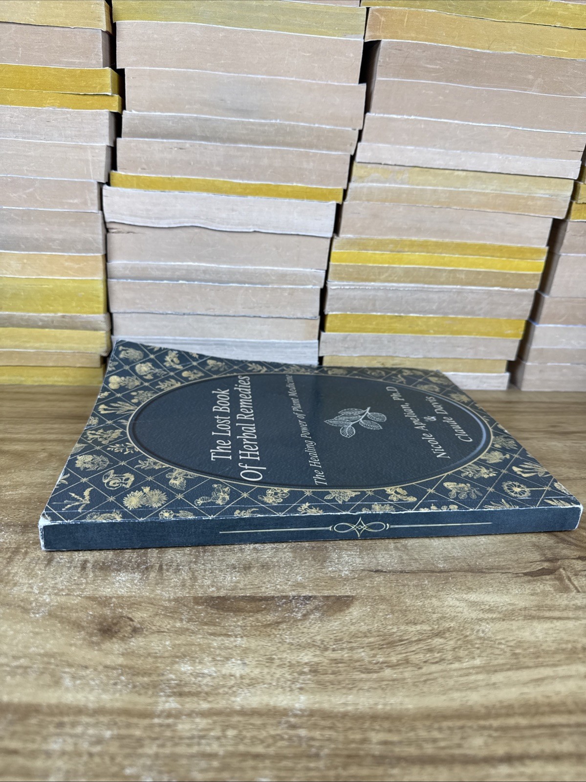 The Lost Book Of Herbal Remedies Healing Power Plant Medicine Paperback
