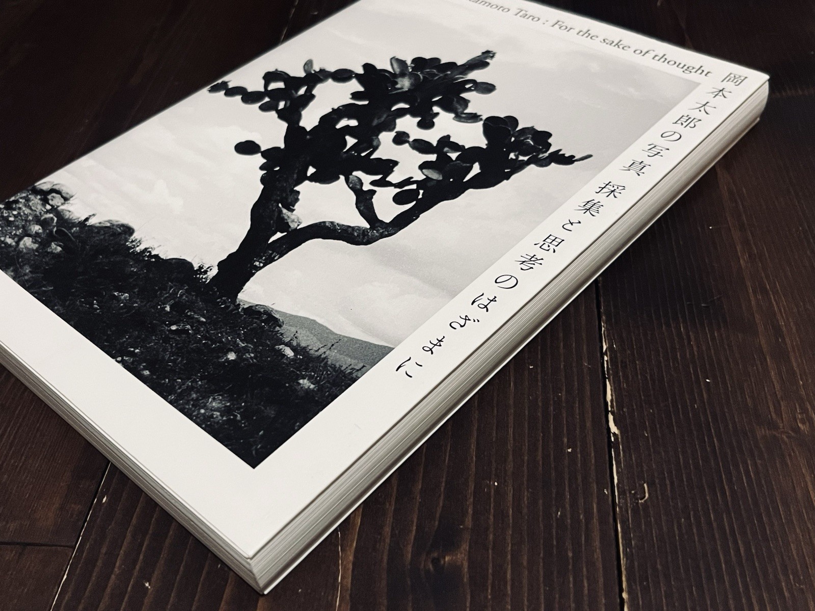 TARO OKAMOTO FOR THE SAKE OF THOUGHT PHOTO EXHIBITION CATALOG BOOK 2018 JAPAN