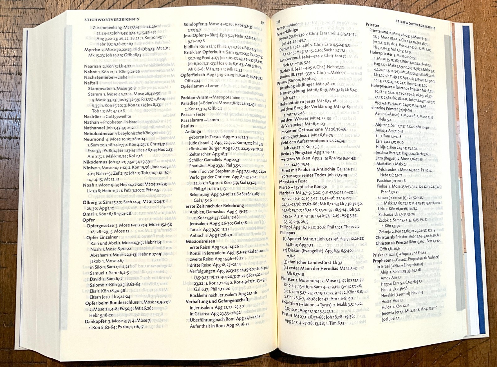 German Bible, Die Bibel, 2017 Revised Luther + Deuterocanon, Hardcover Jubilee