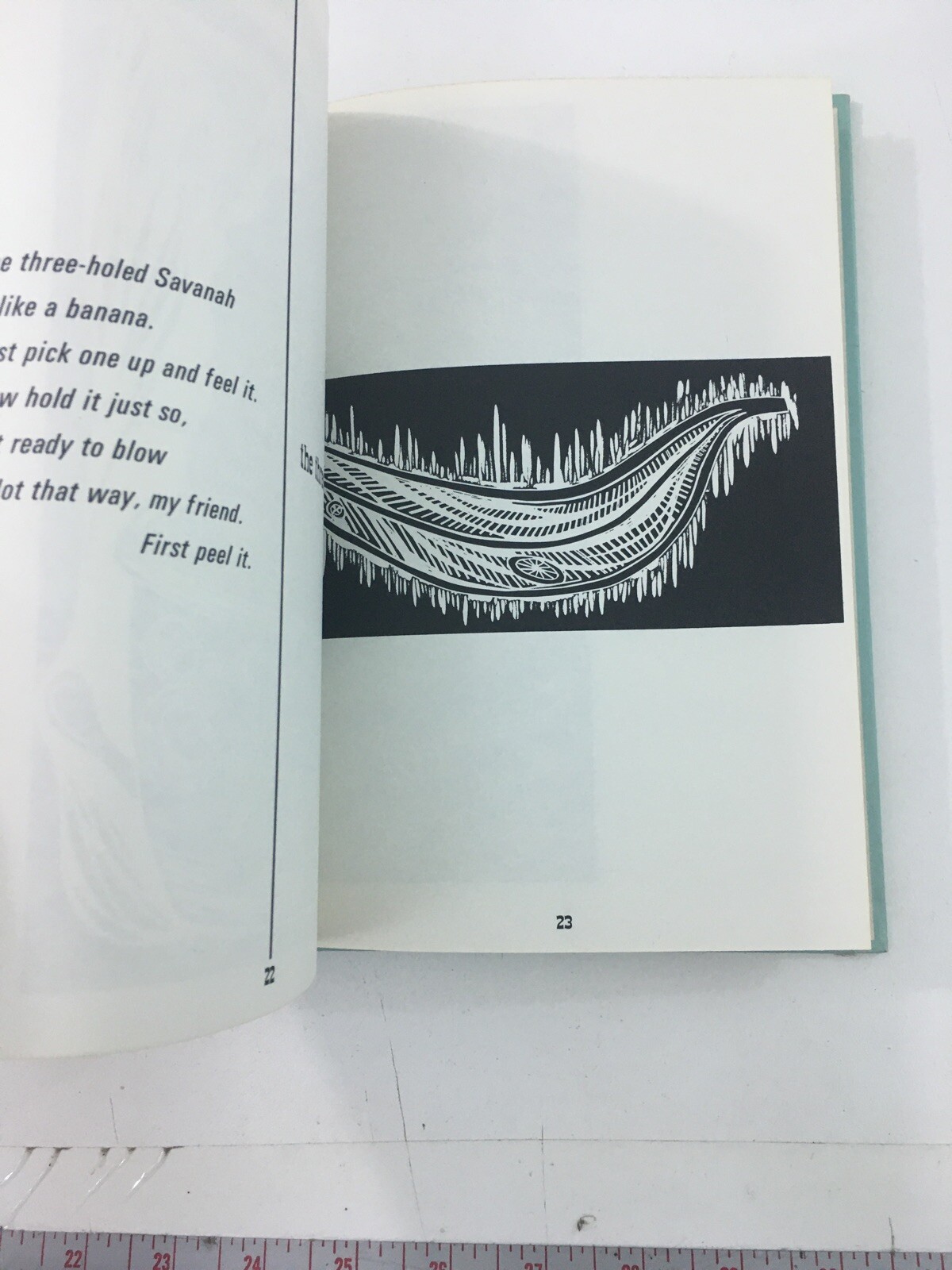 Practically Complete Guide To Almost Real Musical Instruments – Rudoff (1968, HC