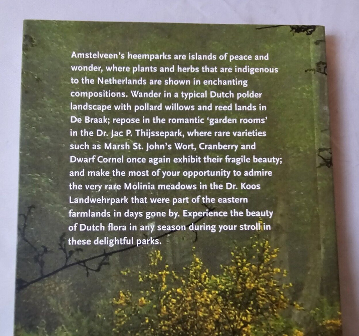 Enchanted Heemparks of Amstelveen : A Walk Through the Heemparks De Braak