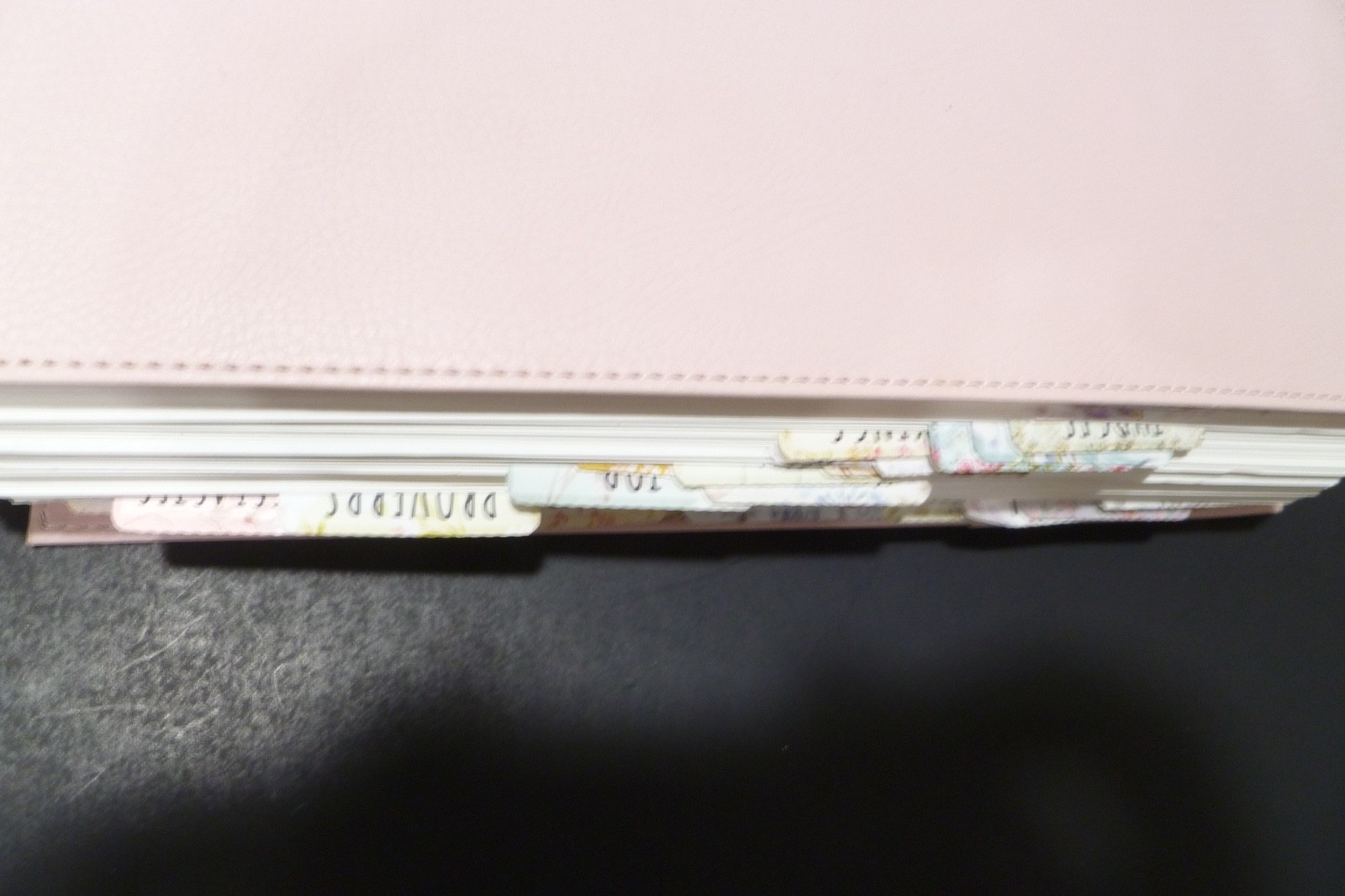 Illustrating Bible NIV Pink by Dayspring (2020, Spiral)