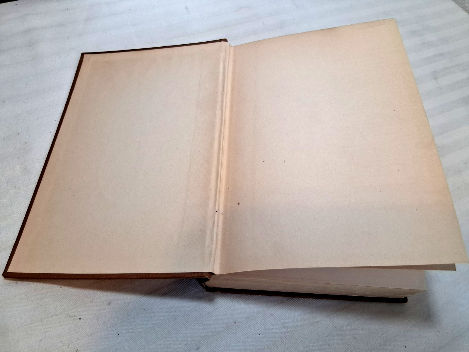 RIATA AND SPURS BY CHARLES A SIRINGO BOOK 1927