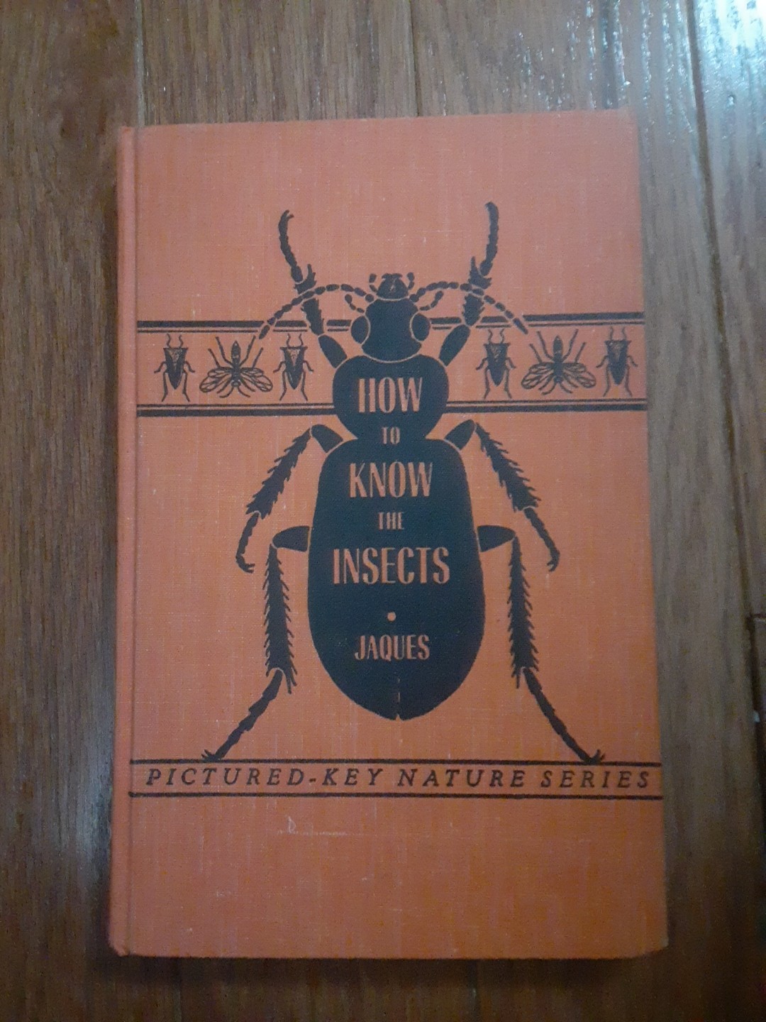How To Know The Insects, By H.E. Jaques, Hardcover, Pictured Key Nature Series