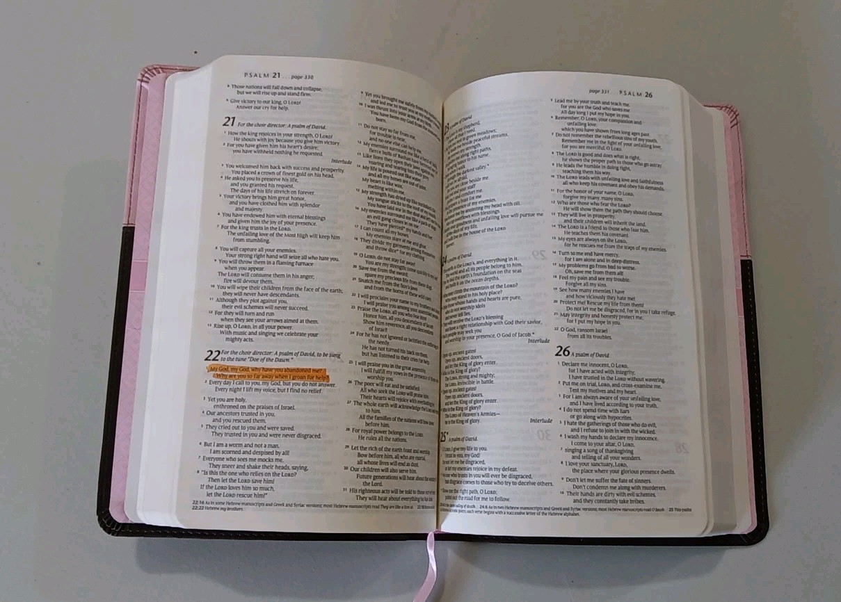 Rare „Holy Bible Gift & Award Edition“ New Living Translation Softcover Pink