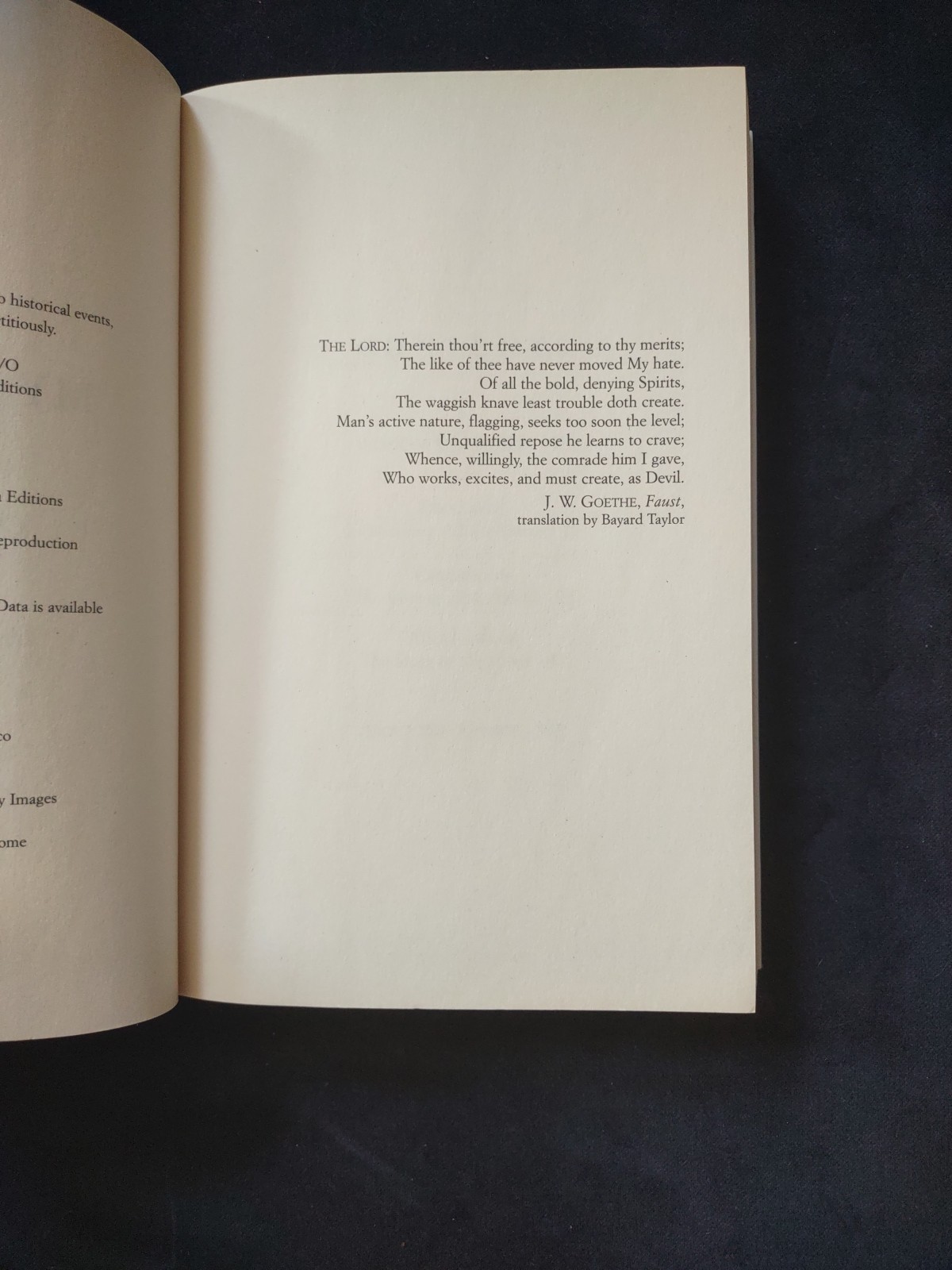 MY BRILLIANT FRIEND Neapolitan Novels Book One Softcover Ferrante Italian Author