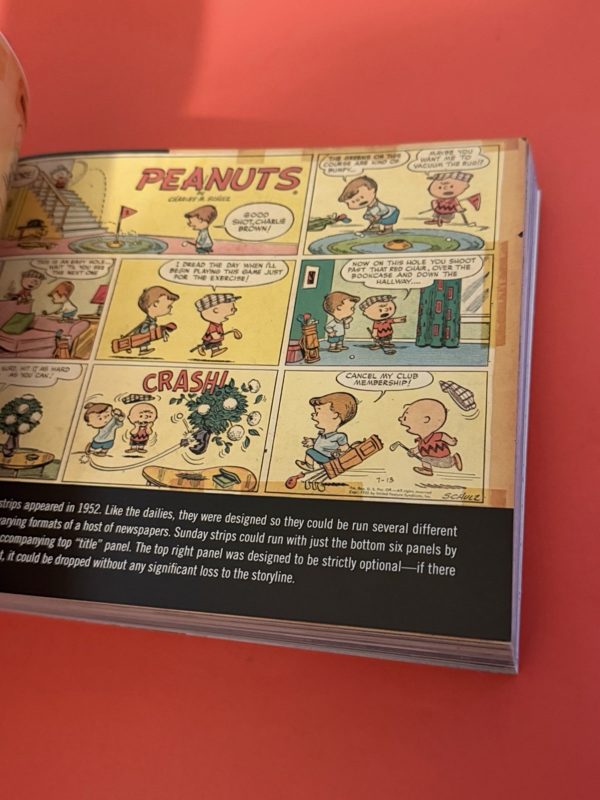 Peanuts The Art Of Charles M Schulz BEAUTIFUL Trade Paperback FREE SHIPPING