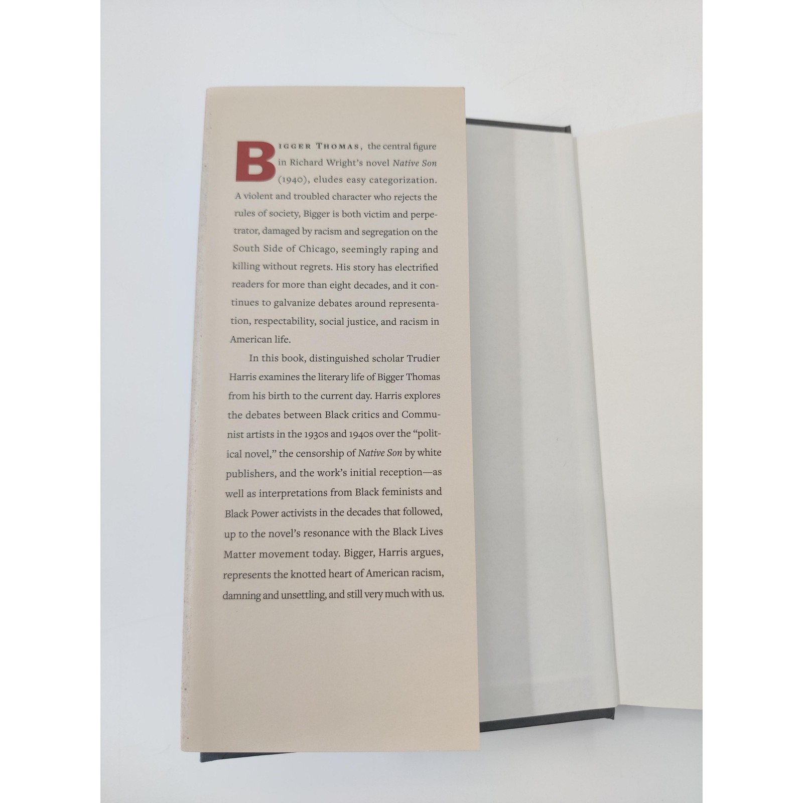Yale University Press Hardcover Bigger A Literary Life African American Studies