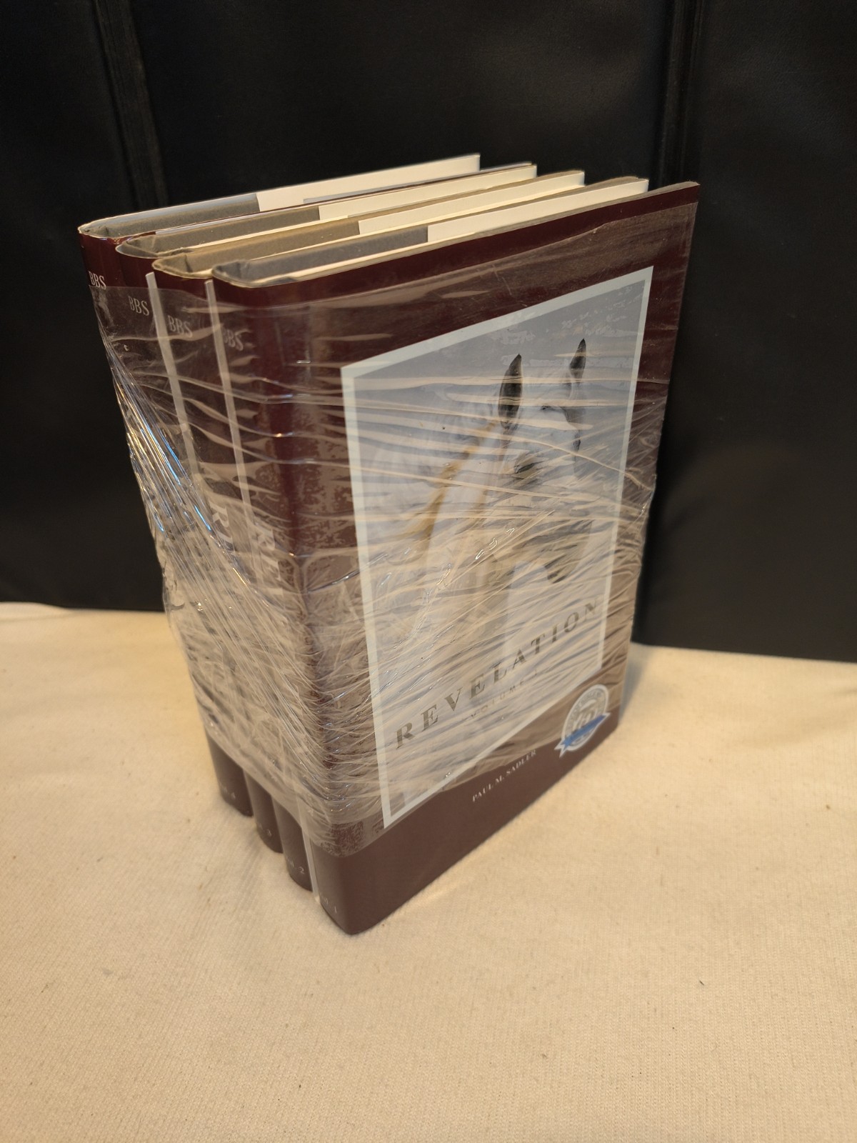 NEW! Book Set: Revelation, Volumes 1, 2, 3, and 4 by Paul M. Sadler Berean Bible