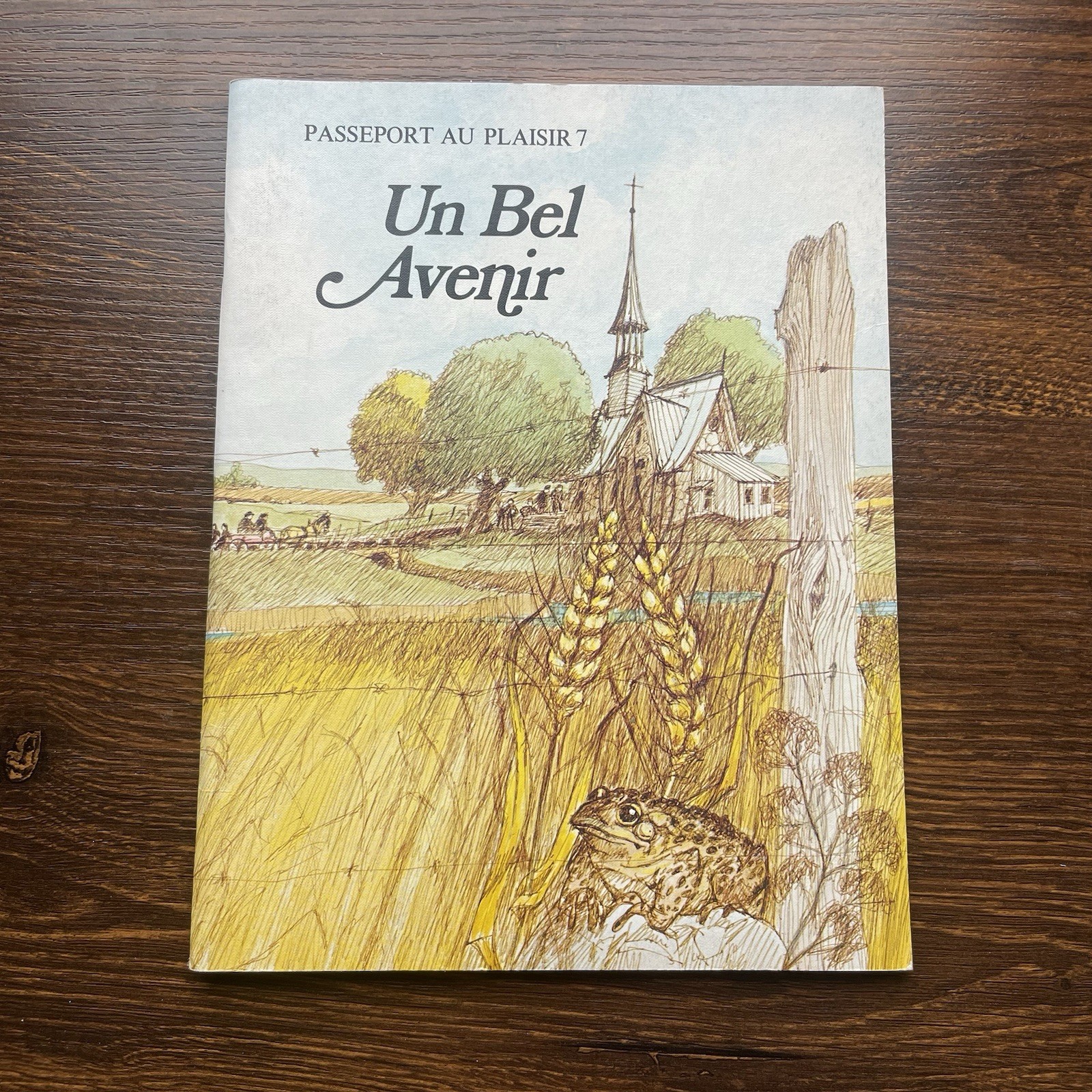 Passeporte Au Plaisir Book Lot of 6 French Childrens Teaching Various Topics PB